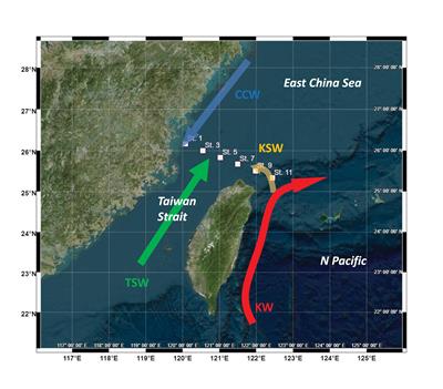 Dissolved and Particulate Primary Production and Subsequent Bacterial C Consumption in the Southern East China Sea